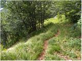 Planina Polog - Vrh Planje